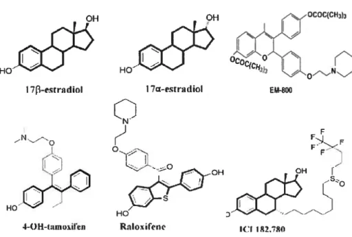 figure 9 : Différents composés oestrogéniques et anti-oestrogéniques