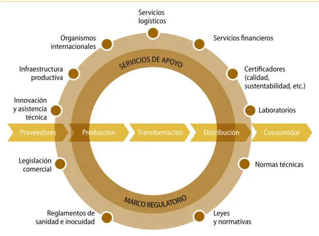 Figura 7. La cadena  agroproductiva.