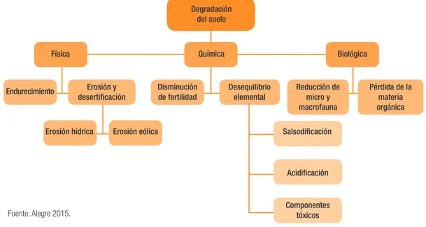 Figura 3. Degradación del suelo según aspectos físicos, químicos y biológicos.