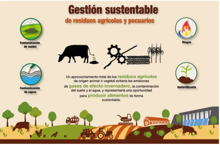 Figura 5. Gestión sustentable de residuos agrícolas y pecuarios.