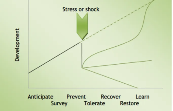 Figura 1. Rango de respuestas a las  tensiones y choques.
