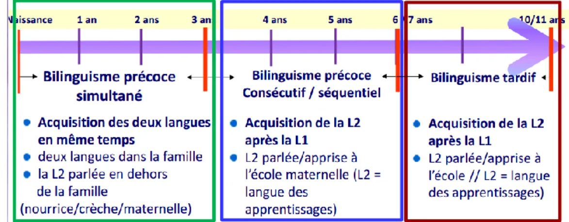 Figure 2. Définitions des différents types de bilinguisme selon l’âge d’acquisition  (Source : J