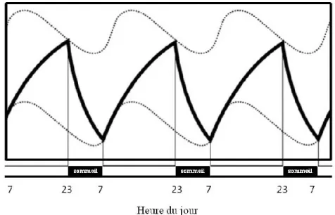 Figure  1.1  Régulation  du  cycle  éveil  sommeil  selon  les  processus  circadien  et  homéostatique