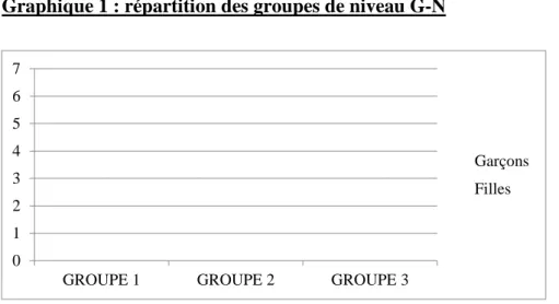Graphique 1 : répartition des groupes de niveau G-N 