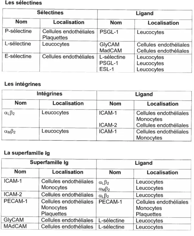 Tableau III : Représentation des interactions ligands-récepteurs des différentes molécules d’adhésion impliquées dans l’adhésion de leucocytes.