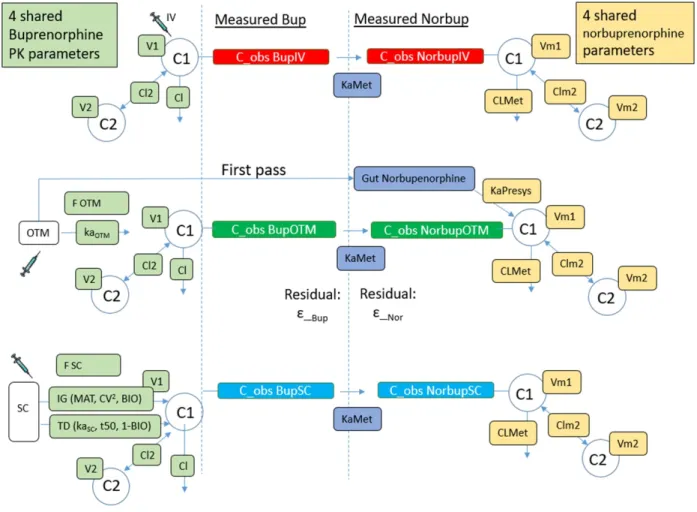 Figure 3. Pharmacokinetic-pharmacodynamic (PK-PD) model representation for buprenorphine and  norbuprenorphine after subcutaneous, intravenous and buccal administration in six cats