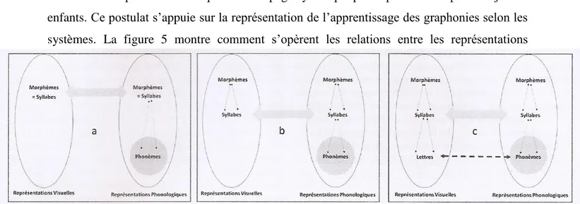 Figure  5  –  Représentation  schématique  de  l’apprentissage  associatif  des  graphonies  selon  les  systèmes d’écriture (d’après Bosse et Zagar 2015) 