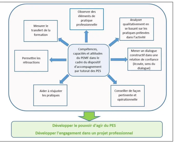 Figure 1 : Le référentiel de compétences du PEMF dans le dispositif d’accompagnement par tutorat