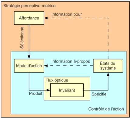 Figure 2.2.3 – Relations entre les diff´ erents ´ el´ ements conceptuels d’une strat´ egie perceptivo-motrice.