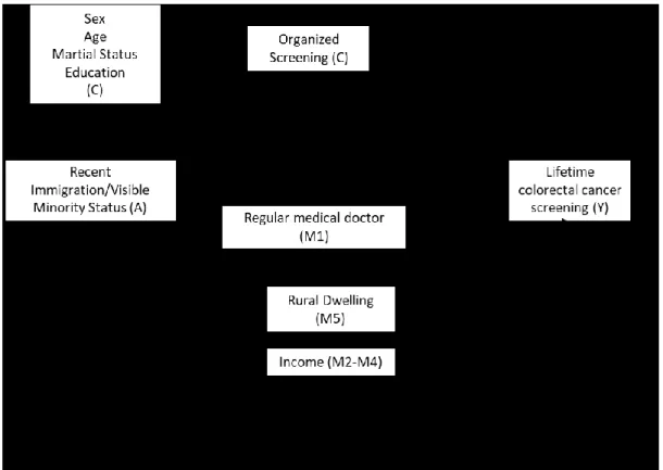Figure 3 Directed Acyclic Graph (DAG) of the assumed directionality of associations between recent immigration,  access to a primary care physician, income, rural residence, social and demographic, exposure to provincial systematic  organised screening pro