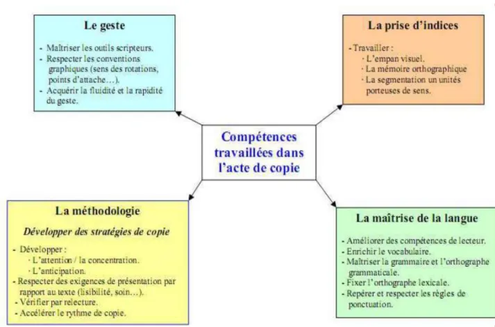 Figure 1- Les compétences travaillées dans l’acte de copie, V. Bouysse (2012). 