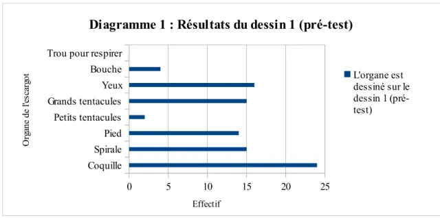 Diagramme 1 : Résultats du dessin 1 (pré-test)