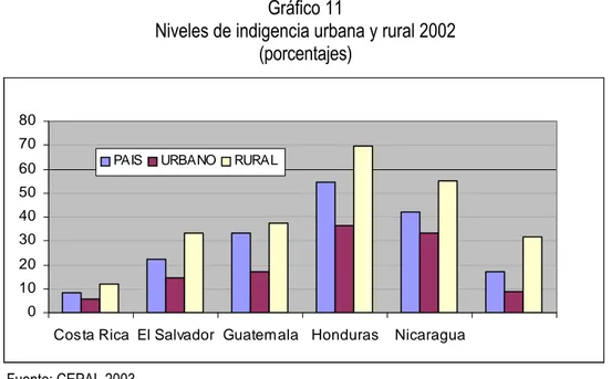 Gráfico 11 