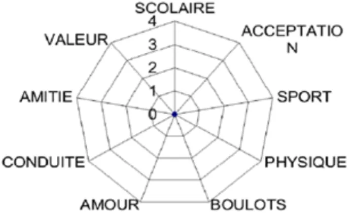 Figure 1 : Modélisation du sentiment de compétence dans 8 domaines 