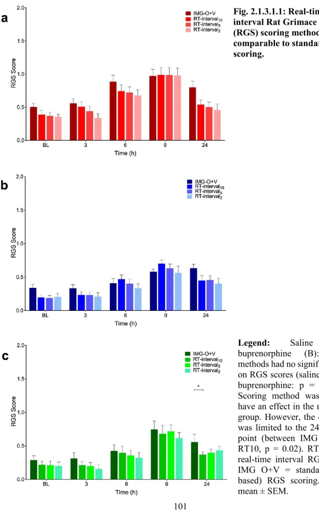 Fig. 2.1.3.1.1: Real-time  interval Rat Grimace Scale  (RGS) scoring methods were  comparable to standard RGS  scoring