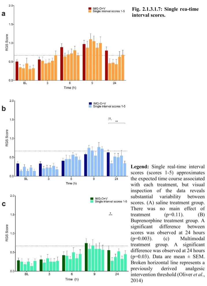 Fig.  2.1.3.1.7:  Single  rea-time  interval scores. 