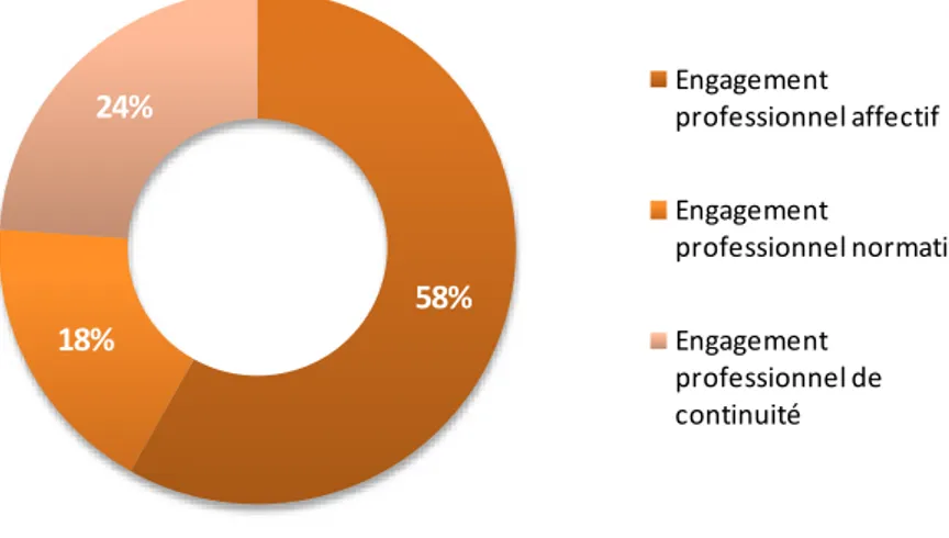 Figure 13. Proportion de chaque catégorie d’engagement professionnel sur l’engagement professionnel général de  Jimmy