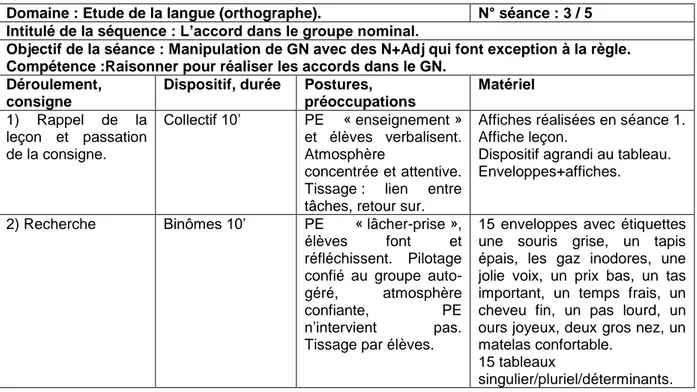 Tableau 3: Extrait de la grille d'observation de la séance d'orthographe. 