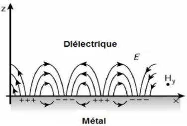 Figure 1.9  Illustration  du  champ  électromagnétique  associé  à  la  propagation  des  plasmons de surface à l'interface métal/diélectrique