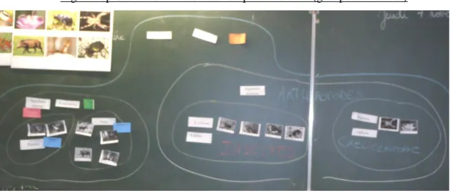 Fig 1. Représentation finale obtenue par les élèves (groupes emboités) 