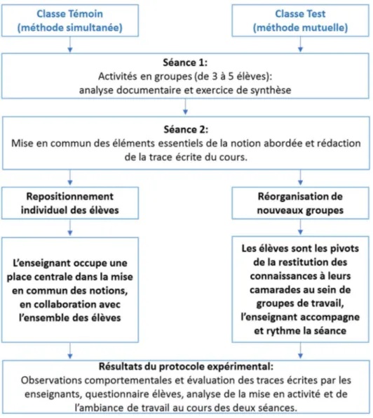 Figure 6 : Protocole du dispositif mis en place 