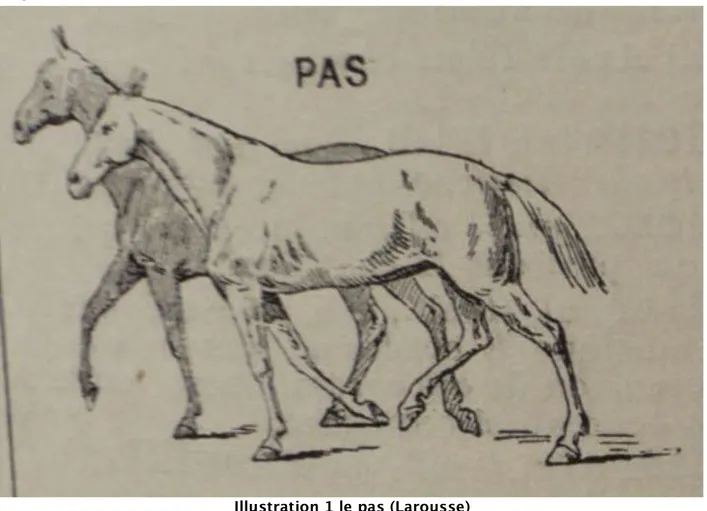 Illustration 1 le pas (Larousse) 