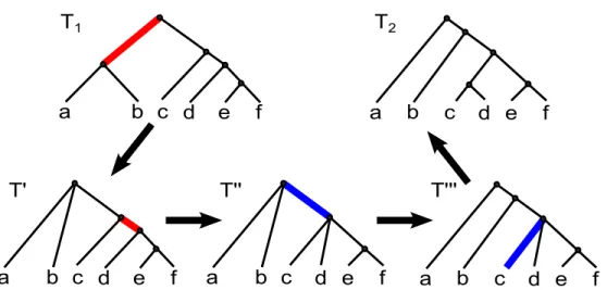 Figure 2.5: Illustrations op´erations RF sur un arbre enracin´e. T 1 et T 2 sont deux arbres donn´es, et T ′ , T ′′ et T ′′ illustrent une s´equence ayant un minimum d’op´erations pour passer de T 1 `a T 2 : deux contractions (les arˆetes rouges indiquent 