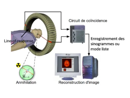 Figure 2.3 – Schéma du principe du système de tomographie d’émission par positrons. Source : Wikipedia, site visité en mai 2015.