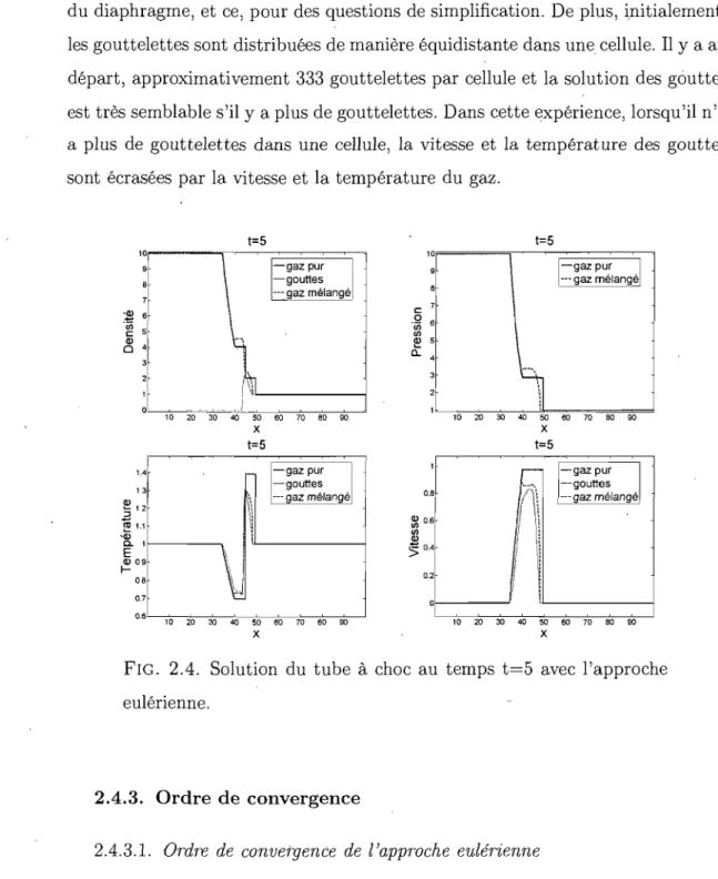 FIG.  2.4.  Solution  du  tube  à  choc  au  temps  t=5  avec  l'approche  eulérienne