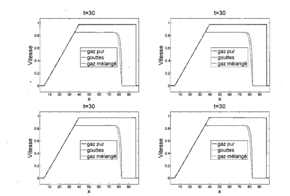 FIG.  2.9.  Solution  du tube à  choc  au temps  t=30 avec  l'approche  lagrangienne. 