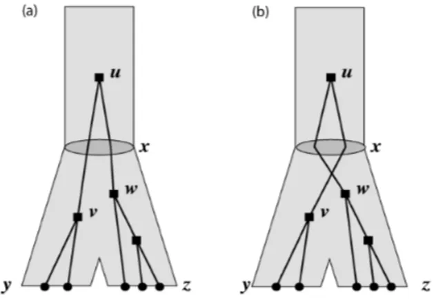 Figure 3.3: Évolution d’un arbre de gènes G dans un arbre d’espèces S enraciné à un arc (p(x), x) et ayant deux feuilles y et z