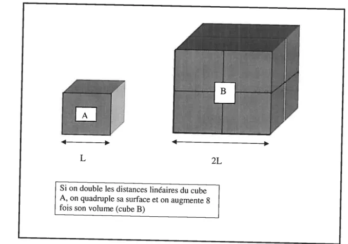 figure 3. Cube démontrant le principe d’isométrie