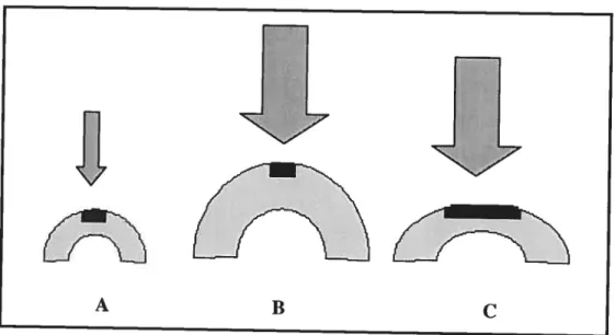 Figure 5. Démonstration du changement de forme d’une articu’ation