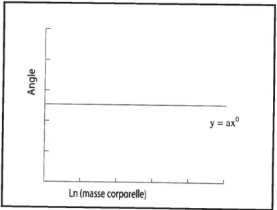 figure 6. Courbe de l’isométrie entre la masse corporelle et l’angle d’une surface articulaire