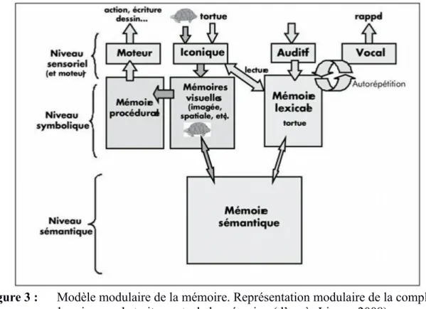 Figure 3 : Modèle modulaire de la mémoire. Représentation modulaire de la complexité des niveaux de traitements de la mémoire