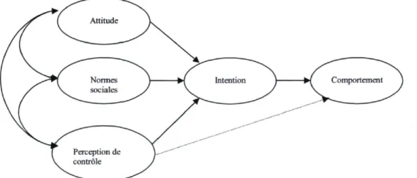 Figure 2 : Modèle de la Théorie du comportement planifié (Azjen, 1991) 