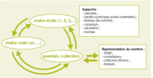 Figure 2 - Les différentes formes de représentations du nombre et les quantités