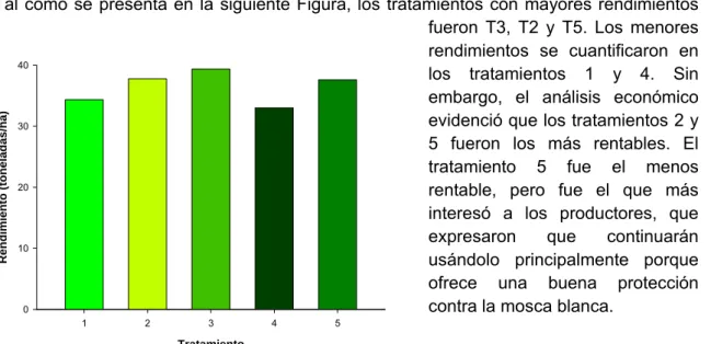 Figura 8. Rendimiento de tomate variedad Christy con  diferentes tratamientos. Sébaco, Nicaragua 