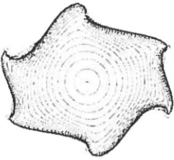 FIG. 2.5 — Schéma des isochrones, soient les positions ayant un même temps de dérive, d’une des cellules de la DCH.’91