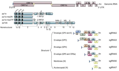 Figure 6 Tiré de Kappes et al, 2015[44]. 