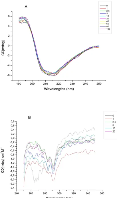 Figure 3.1. (A) Far-UV, (B) near-UV  circular  dichroic  spectra  of  βlg  in  the  absence and presence of increasing concentration of riboflavin in 10 mM  phosphate buffer at pH 7.4