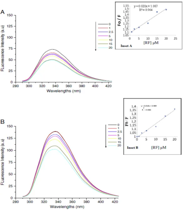 Figure  3.2.  Fluorescence  emission  spectra  of  βlg  in  the  presence  of  different  concentrations of RF; (A) [βlg] = 5 μM; (B) [βlg] = 10 μM; [RF] in μM, curves: 0, 1,  2.5,  5,  10,  15  and  20(λEX  =  280  nm,  T  =  room  temperature,  pH  =  7.