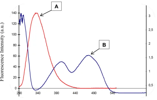 Figure 3.3. Overlap of the fluorescence emission spectra of βlg (A) with the  absorption spectra of RF (B)