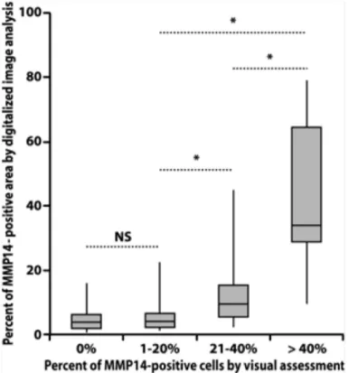 Figure  3–5. Box plot distribution of MMP14-positive area assessment obtained by digitalized image  analysis according to visual assessment categories performed by pathologists 