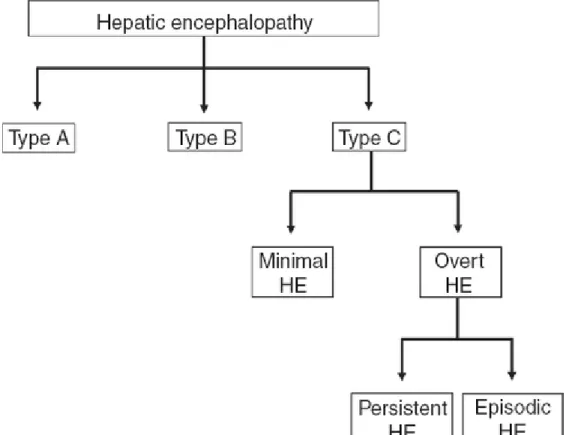 Figure 1 Classification and types of hepatic encephalopathy. Based on the underlying  cause, hepatic encephalopathy (HE) is divided into three forms: (1) type A, associated  with acute liver failure; (2) type B, arising because of portal‐systemic shunting 