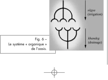 Fig. 6 – Le système « organique » de l’oasis.