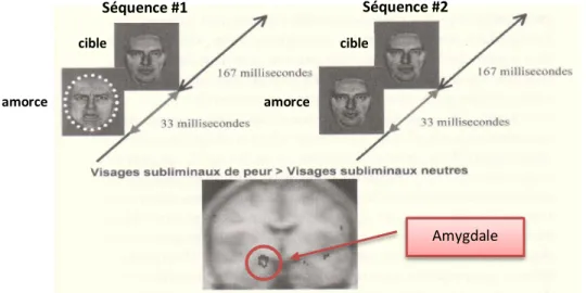 Figure 1.6 - Perception inconsciente des visages de peur versus les visages neutres. Source [59] 