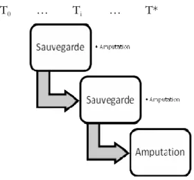 Figure 4 : La décision de l'amputation 