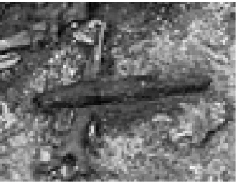 Figure 2  : Position  de  l'humerus  et  de  l'objet en  silex  dans  la  tombe  416  de  Buthiers- Buthiers-Boulancourt 
