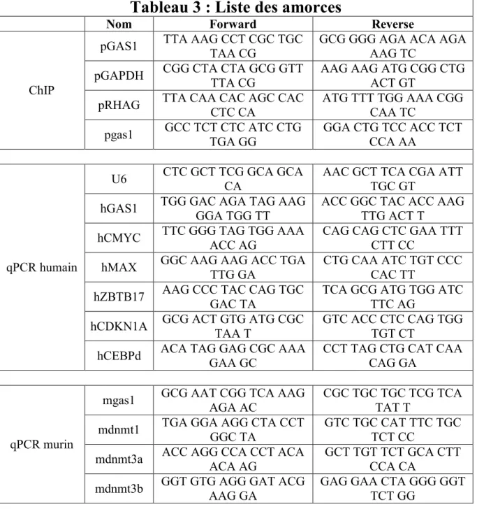 Tableau 3 : Liste des amorces 